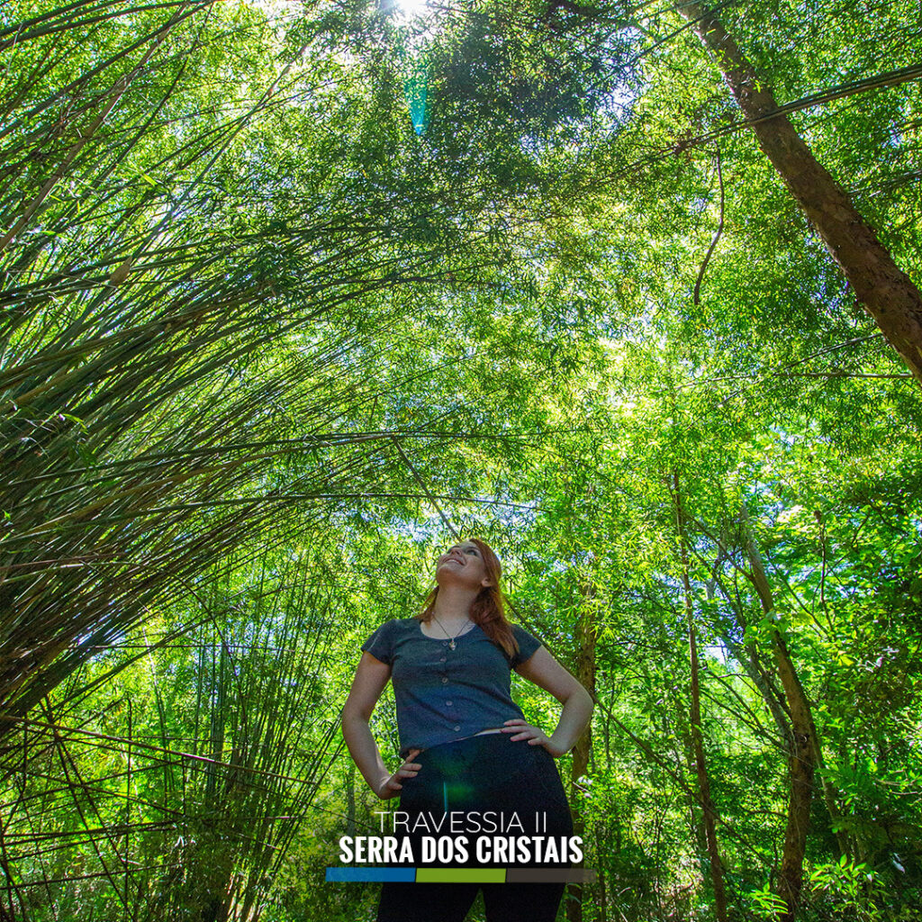 Serra dos Cristais  ll  (10)