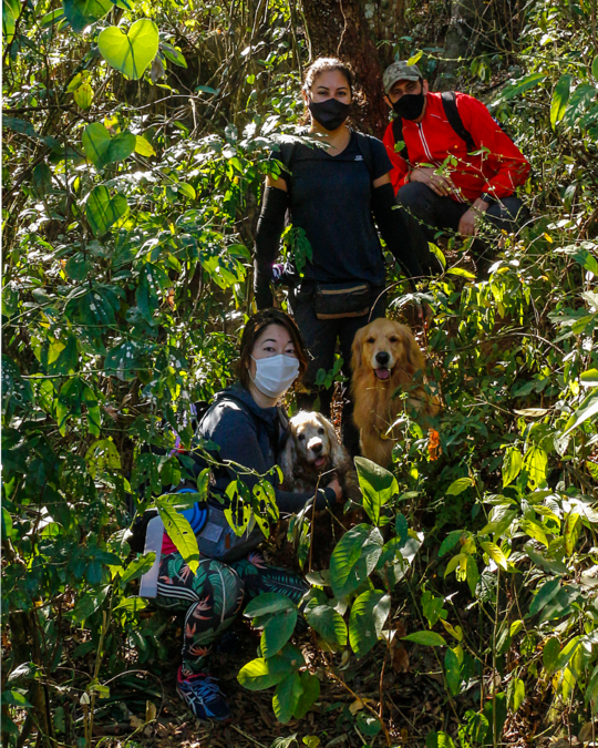 LIGHT TRAIL 2 - 01 (4)